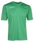 Preview: Patrick Trikot PAT101 grün