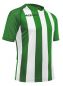 Preview: Acerbis Trikot Johan grün-weiß gestreift