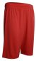 Preview: Acerbis Basketball Short Magic rot