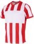 Preview: Stanno Trikot Aspire rot-weiß gestreift