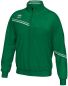 Preview: Errea Trainingsjacke Elton grün-weiß