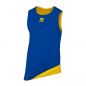 Preview: Errea Basketball Wendetrikot Chicago blau-gelb