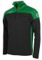 Preview: Stanno 1/4-Zip Pride schwarz-grün