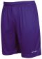 Preview: Stanno Hose Field lila