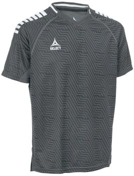 Select Trikot Monaco grau-weiß