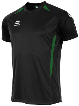 Stanno Trikot Stadio schwarz-grün