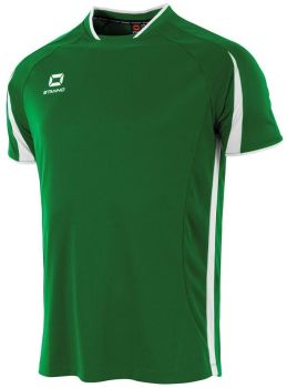 Stanno Trikot Unity grün-weiß