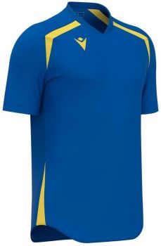 Macron Trikot Wyrm blau-gelb