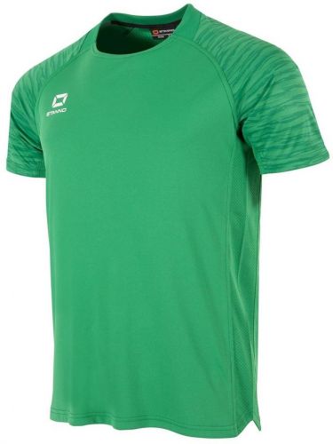 Stanno Trikot Bolt grün