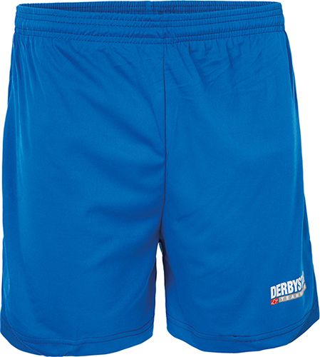 Derbystar Fußball Hose Primera grün