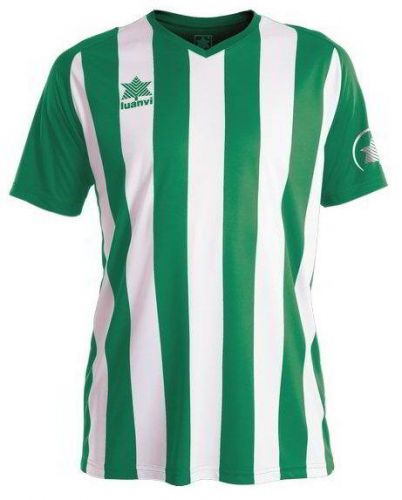 Luanvi Trikot New Listada grün-weiß