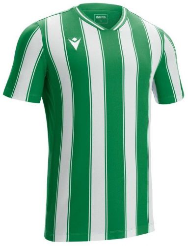 Macron Trikot Sceptrum grün-weiß gestreift