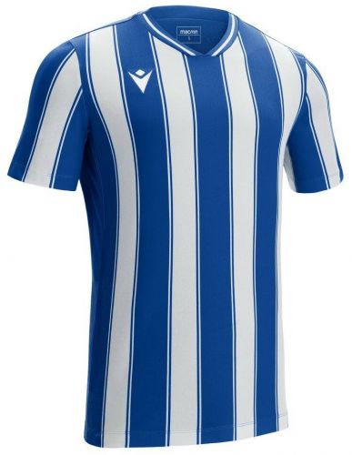 Macron Trikot Sceptrum blau-weiß gestreift