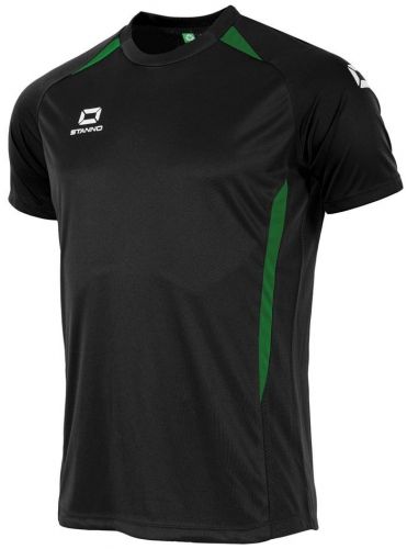 Stanno Trikot Stadio schwarz-grün