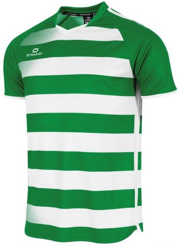 Stanno Trikot Synergy grün-weiß gestreift