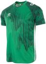 Stanno Trikot Hatch grün-weiß