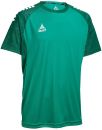 Select Trikot Spain grün-weiß